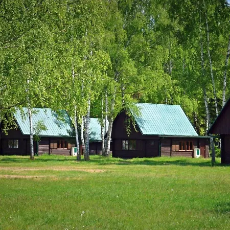 Prázdninový dům Stribrny Rybnik-8 By Interhome *