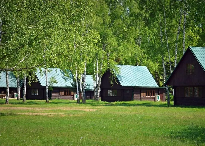 Prázdninový dům Stribrny Rybnik-8 By Interhome *